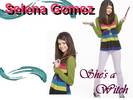 Selena Gomez 35-fanbrendaasnicar