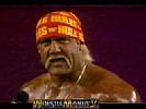Hulk_Hogan_vs__Randy_Savage