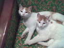 Imag039