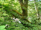 DSCF5036