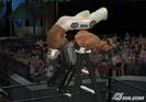 wwe-smackdown-vs-raw-2009-20080711084601611