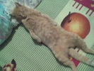 Imag073
