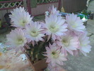 Imag053