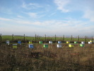 IMG_0005 (5)