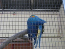 IMG_0088