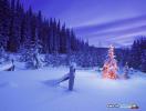 poze_haioase_funny_photos_0534321001228929262493ff8ee82741842723519