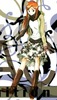 orihime-wall