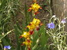 Picture 040