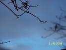 100_8250