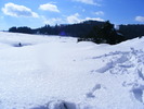 DSCF6944