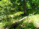 DSCF0569