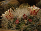 DSC09593