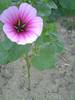 PICT0008