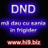 dnd ma dau cu sania in frigider