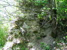 DSCF0577