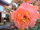 DSC01749
