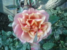 DSC00152