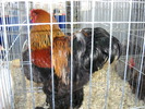 DSCN0187
