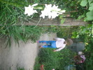 DSCI0656