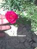 PICT0058