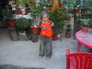 Picture 073
