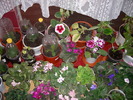 Flori 007