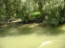 excursie delta dunarii 5062009 071