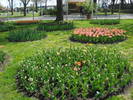 Burgas