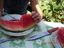 DSCN7309
