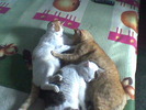 Imag035