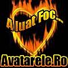 a luat foc