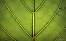 1822_looseleaf_1440x900