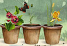 Flowerpots