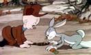 Bugs-Bunny456456[1]