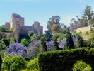 Alcazaba Fortress in Malaga - Spain