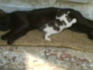IMAG0044