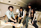 Nelena-3-selena-gomez-8193203-500-341