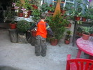 Picture 071