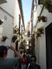 135 Cordoba