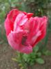 DSCF1058