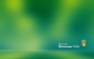 vista wall (81)