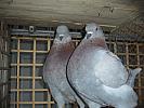 Picture 024