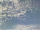 DSC00667