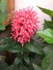 21 sept 2008 015