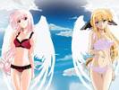 Summer Angels