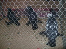 Picture 082