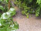 ploaie  de vara in Bucuresti