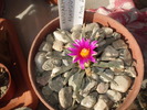 DSCF0728