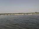DSC01786