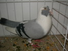 SANY0101